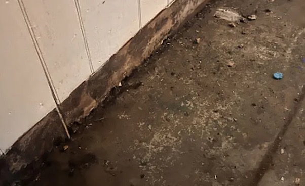 Sewage Water Removal in Somerville, MA